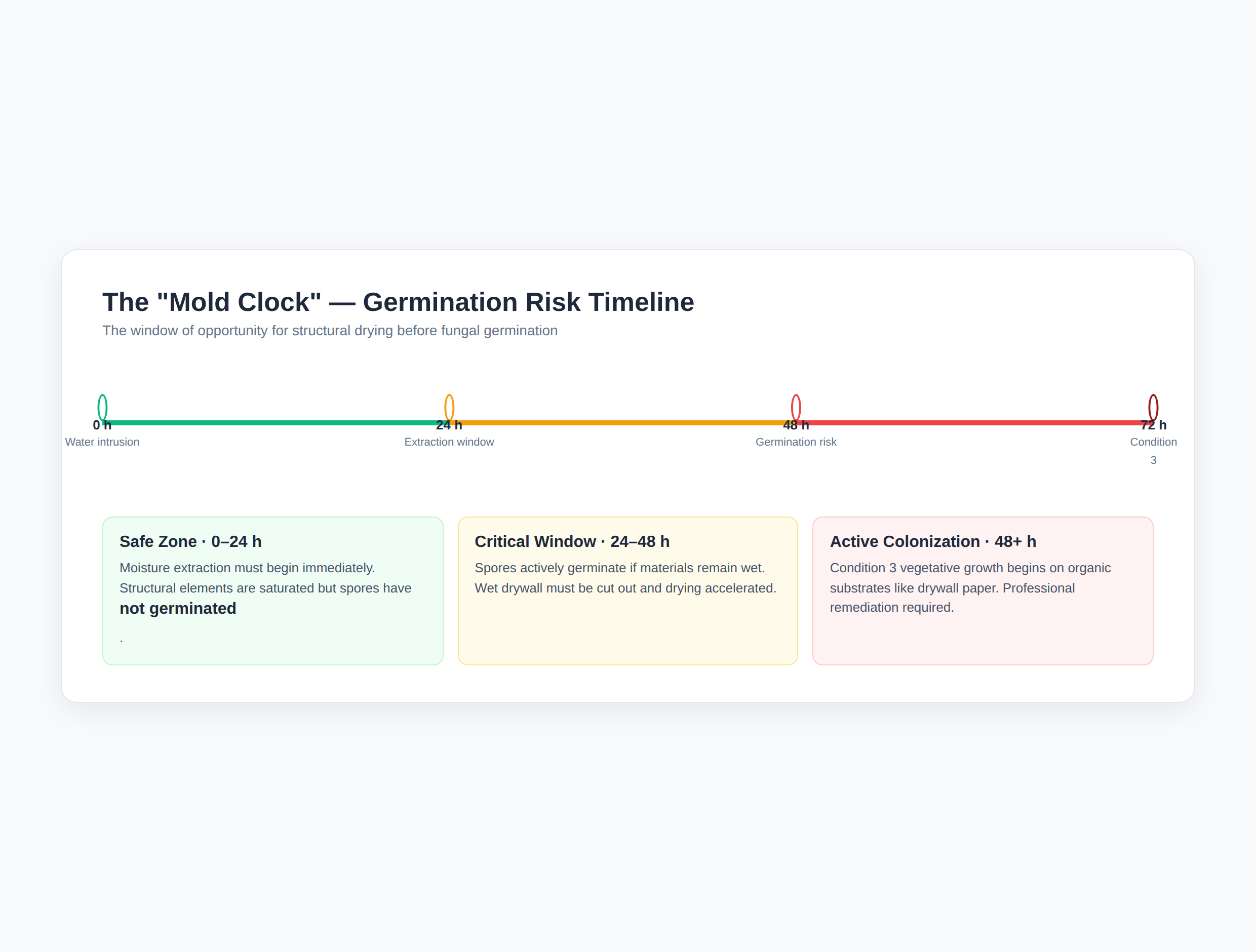 The Mold Clock germination risk timeline from 0 to 72 hours post water damage